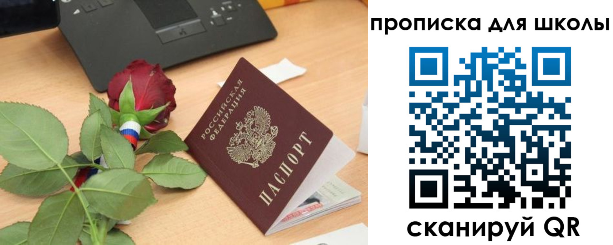 прописка паспорт в Сертолово